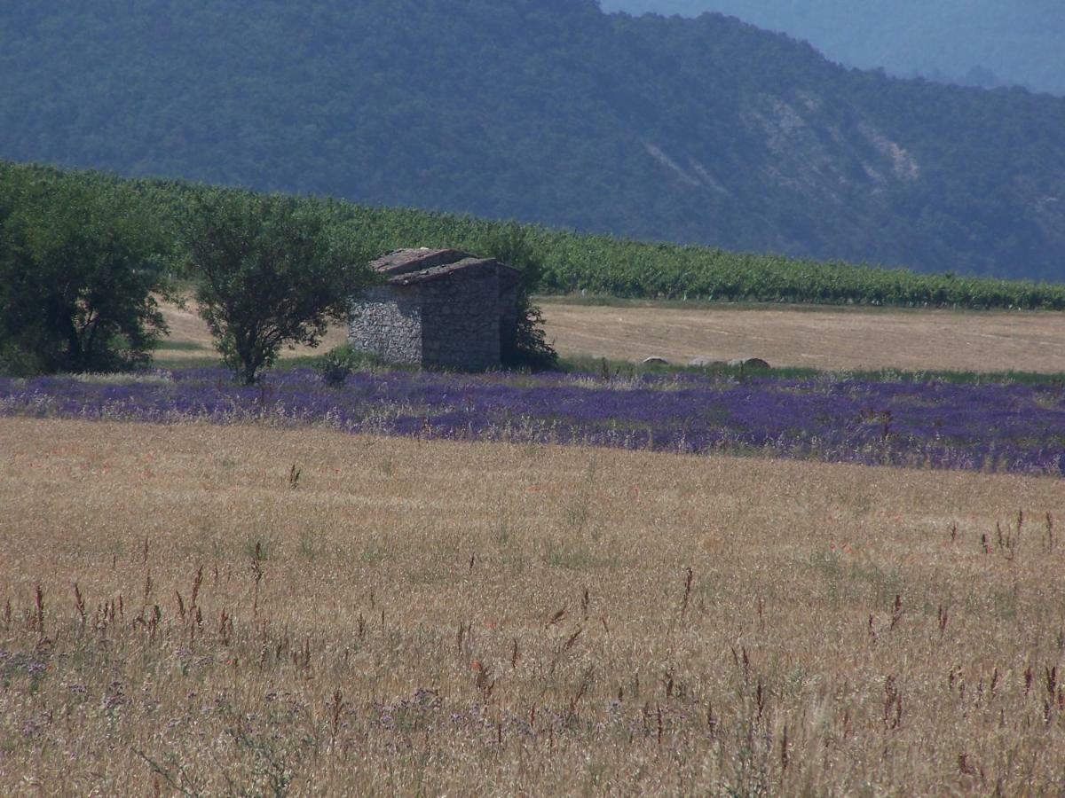 "Le Pigeonnier" Chambre D'Hote Piégros-la-Clastre Eksteriør billede